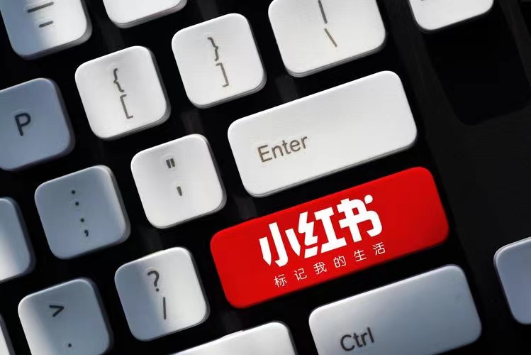 写给新手小白的小红书指南