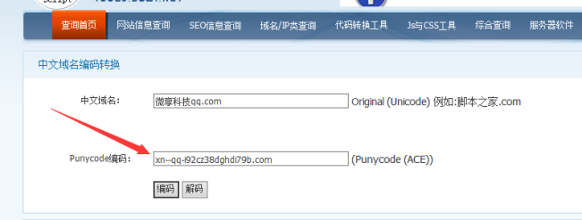 中文域名转码成英文域名方法！