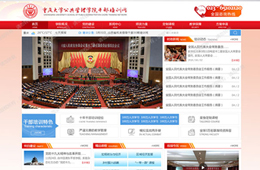 重庆大学网站建设