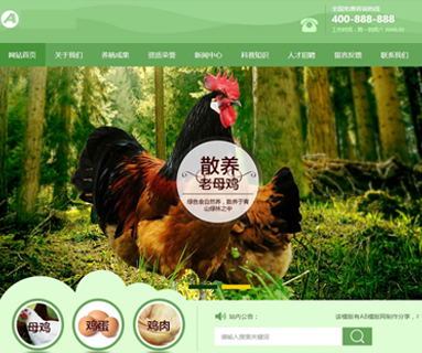 农业家畜养殖网站模板