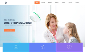 养生医疗美容机构网站模板